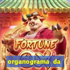 organograma da cacau show
